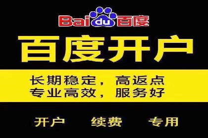 SEM竞价代运营公司经典案例解析