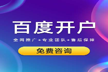 竞价广告投放技巧与案例分析